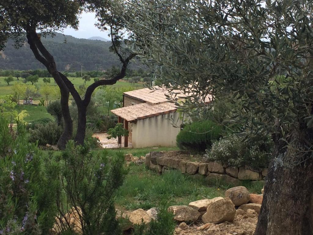 Alen D'Aragon Pensionat Santa Eulalia de Gállego Rum bild