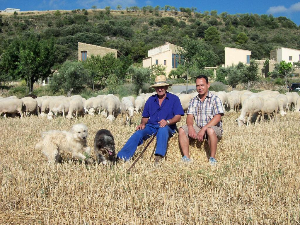 Alen D'Aragon Pensionat Santa Eulalia de Gállego Exteriör bild